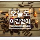 작전의료기 | 방심하다 재발한 감기와 환자일기 그리고 이비인후과 코 내시경 후기