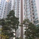 동부약국 - 해운대구 재반로 153 | 동부약국