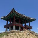이제산성 | 대전 보문산 보문산성 등산후기/ 초보자도 가능한 보문산등산코스/ 반려견과 함께 다녀온 보문산