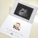 이화 더블유 산부인과