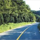 통영관광안내소 이미지