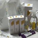 베베시앙 이미지