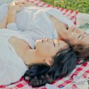 데이그래피 이미지