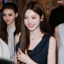 안나 이미지