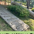 풀빛공원 유아숲체험원 이미지