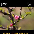 ♬아름다운 만남의 시 "당신과의 인연"_피천득 이미지