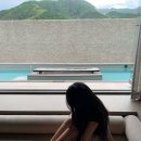 여주현:동천_감성숙소펜션 | [공지] 대구 근교 칠곡 독채 감성 숙소 추천 “ 여주현 동천 ”