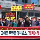 철수 농장 이미지