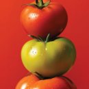 애슐리퀸즈 대구이월드점 이미지