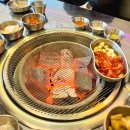 빽고기 이미지