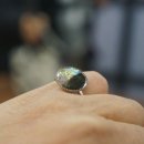 고살메갈꽃체험마을 이미지