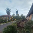 제주 조이황토리조트 이미지