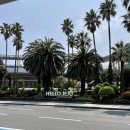 연동민박 이미지