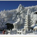 ♣2/6(수) 설날 연휴 민족의 영산 함백산 & 태백산 1일 2산 눈꽃축제 이미지
