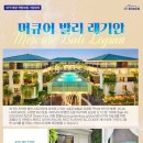 내맘대로여행사 이미지