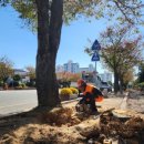 사촌1리 경로당 이미지