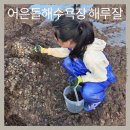 어은돌리솜펜션 | 어은돌해수욕장 캠핑&amp;리솜펜션 아이들과 해루질 리얼후기