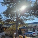 물돌이민박 | 영주 당일여행 가볼만한 곳 무섬 전통마을