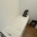 테시토의원 이미지