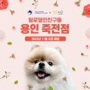 용인죽전 24시 스카이동물메디컬센터 이미지