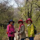 북한산 진달래능선 산행기와 4/29 산행 안내 이미지