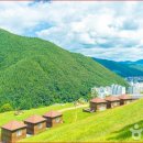 자유목장 이미지