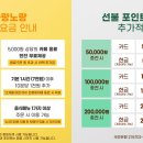 카페나랑노랑 이미지