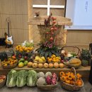 삼화농장 이미지