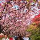 완산-89 네이버블로그