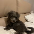 공감치과의원 이미지