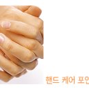향:네일