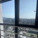 성북세탁소 | 이사 후기) 성북펠릭스 (sh, 58형)