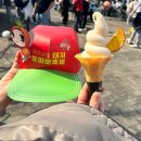 2025 제22회 대저 토마토축제 후기