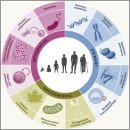 Re: 노화관련질환 기전과 치료법까지 2022 nature.. 이미지