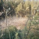 보우공인중개사사무소 이미지