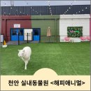 천안 실내 동물원 <해피애니멀> 동물체험 이색카페 방문후기