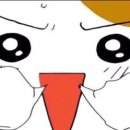 버섯잔치 네이버블로그