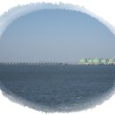 대부도바지락칼국수 이미지