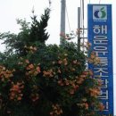 해운농장 이미지