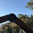 퀸팀버 | 안토리조트 (구 파라스파라) 내돈내산 호캉스 팀버스위트 후기