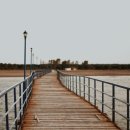 사법행정사 이미지