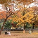 농업기술센타 이미지
