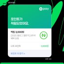 멜팅냥 | 치킨, 빵, 라면으로 범벅된 나의 일상