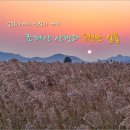 순천만 - 고양시 일산동구 강송로113번길 7-4 | 순천만