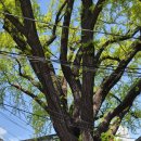 교남무악동 이미지