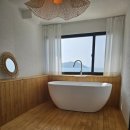 아담 스테이 이미지