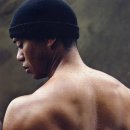 타이거휘트니스 이미지