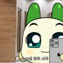 2023년 10, 11월 일상