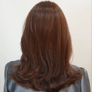 노벨리아 헤어 이미지