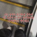 예은 농장 | 운명